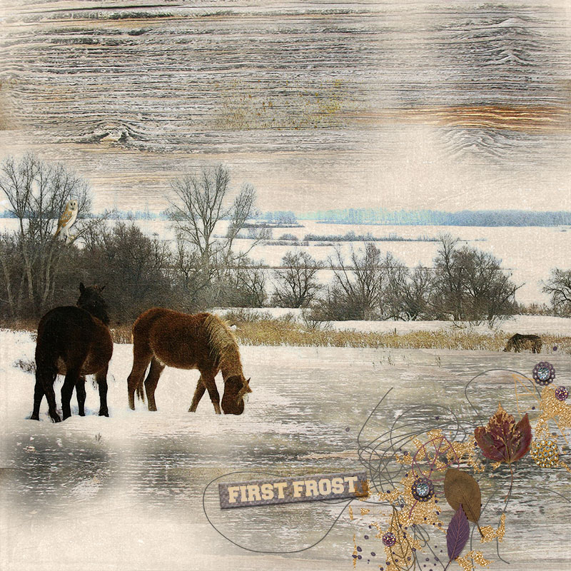 Dady_Autumn-Breeze-Collection_2-copy