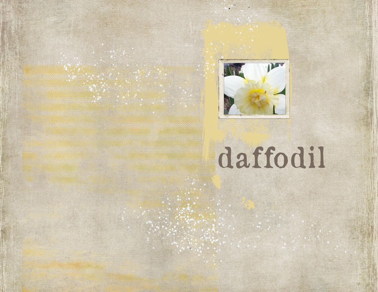 Daffodil