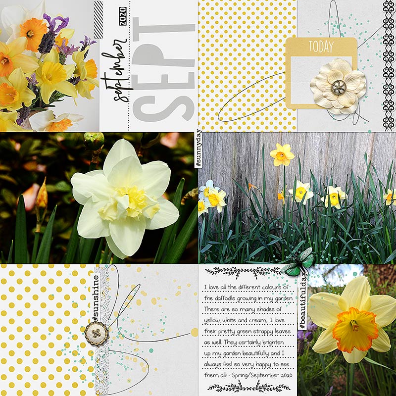 DAFFODILS - SEPT 2020 - LEFT PAGE