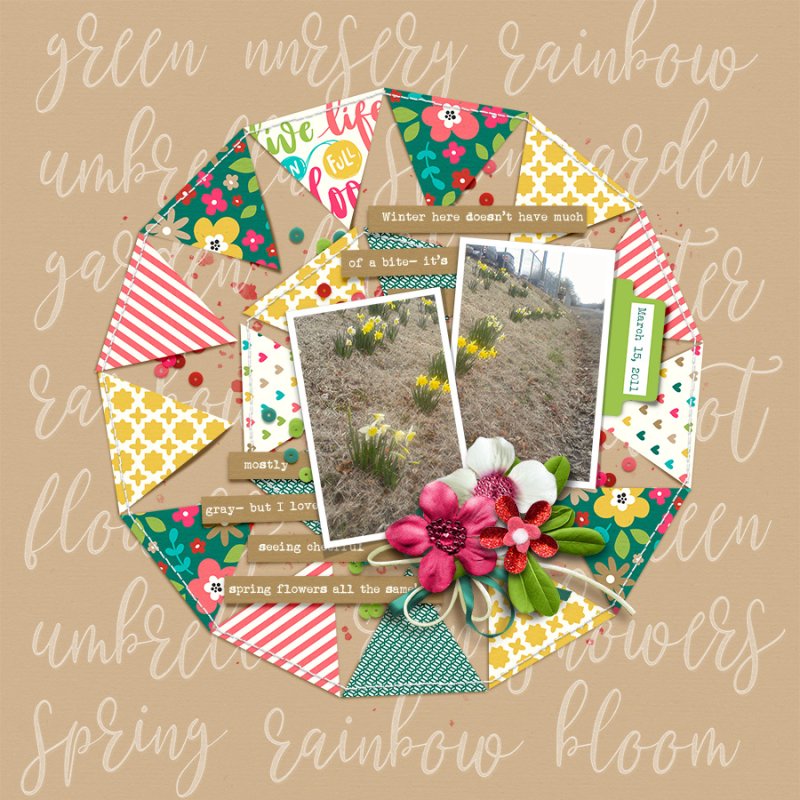 Daffodils