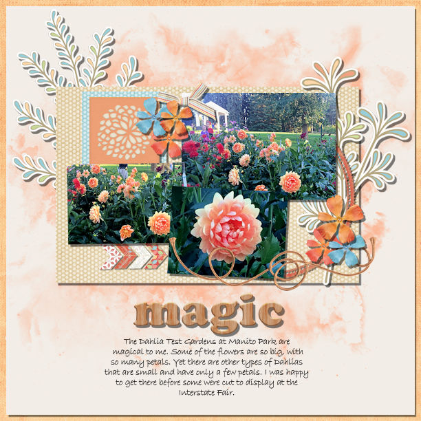 Dahlia Magic