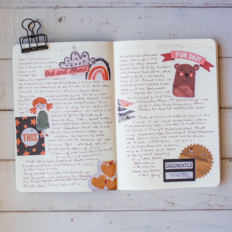 Daily Journal