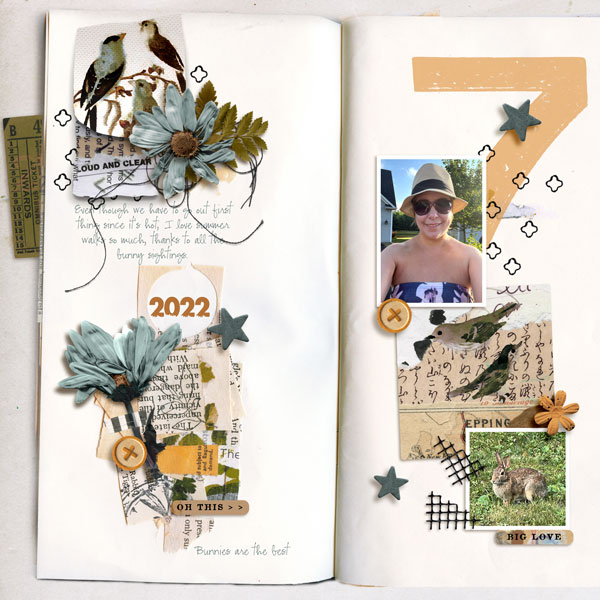 Daily July 2022