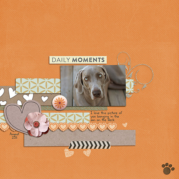 Daily Moments