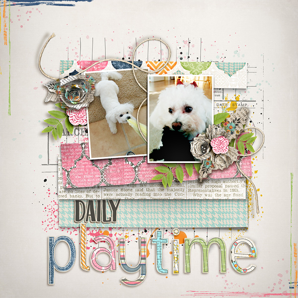 Daily Playtime