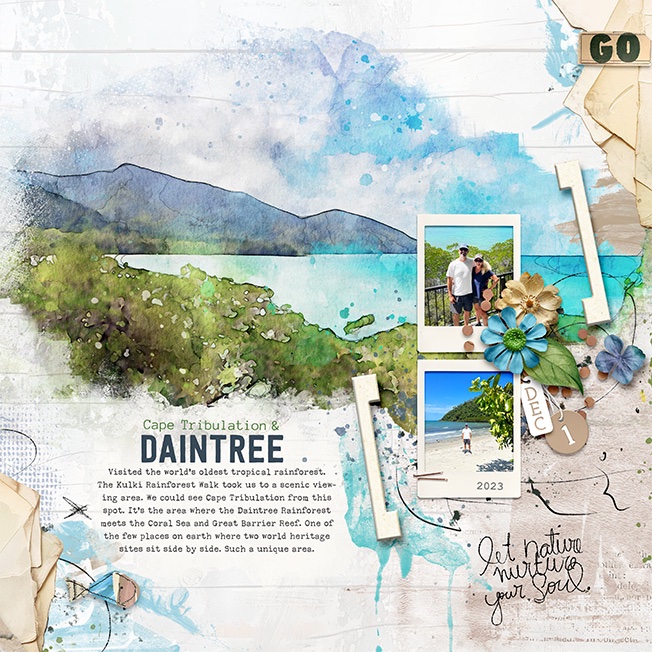 Daintree.jpg
