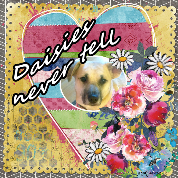 Daisies Never Tell