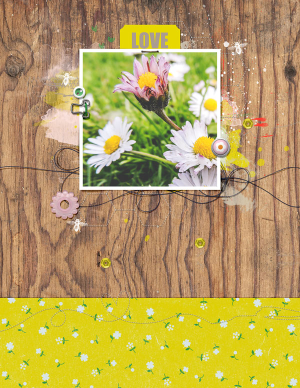 Daisies