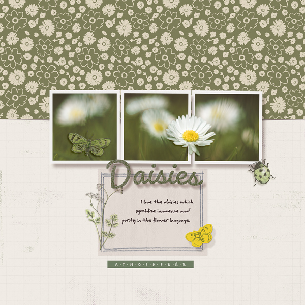 Daisies