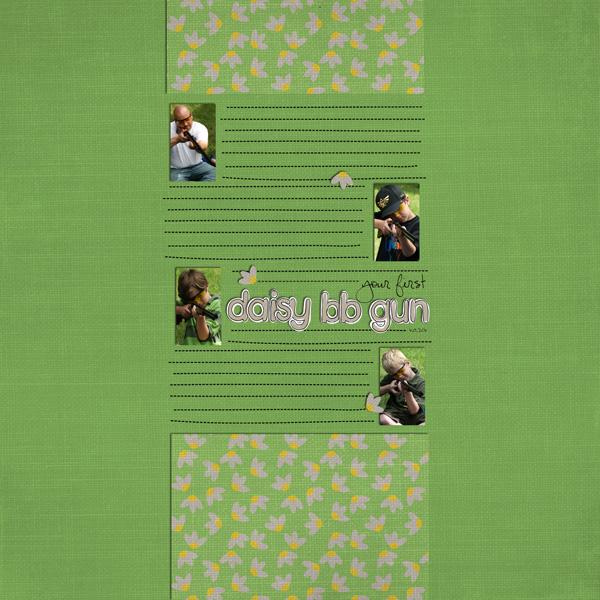 daisy bb gun