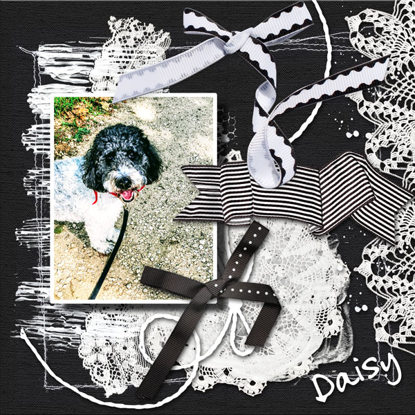 Daisy {Black and White}