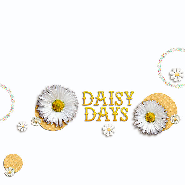 Daisy Days