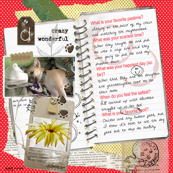 Daisy Diary