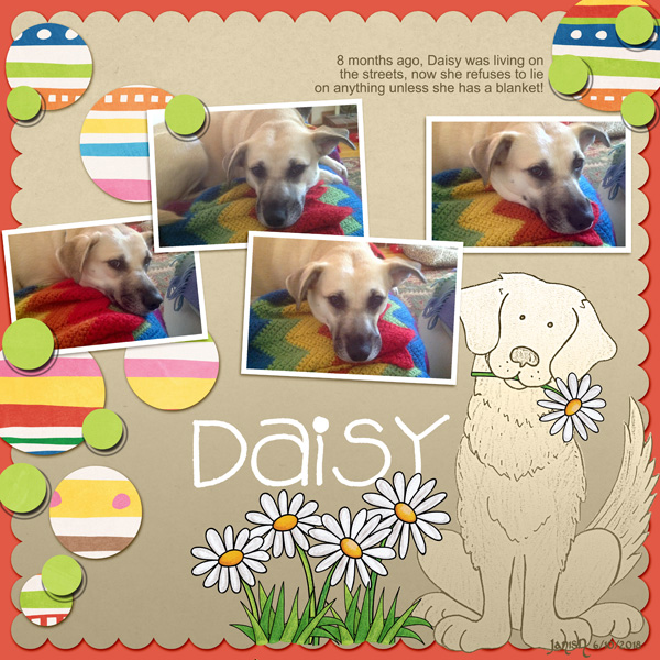 Daisy - June Challenge