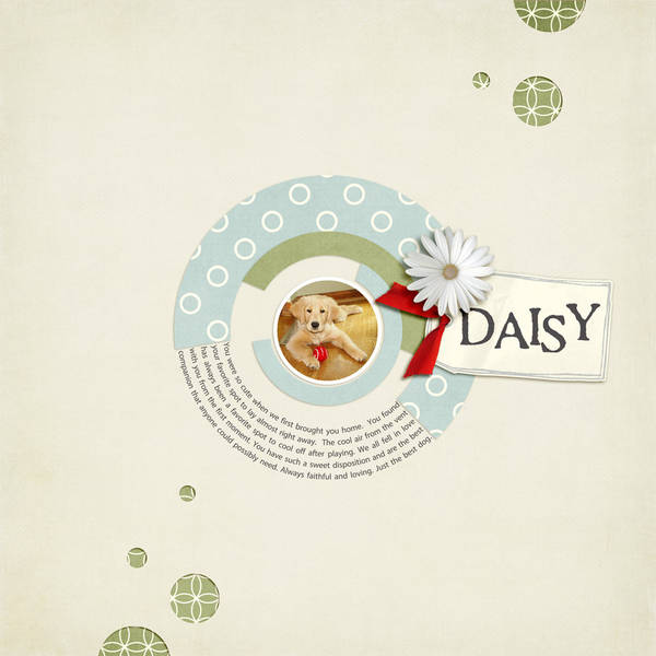 Daisy