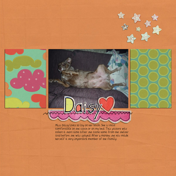 Daisy