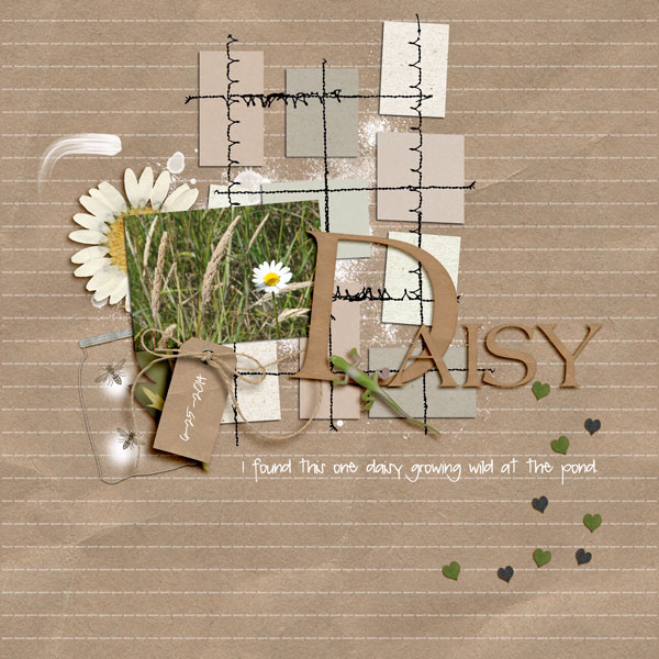 Daisy