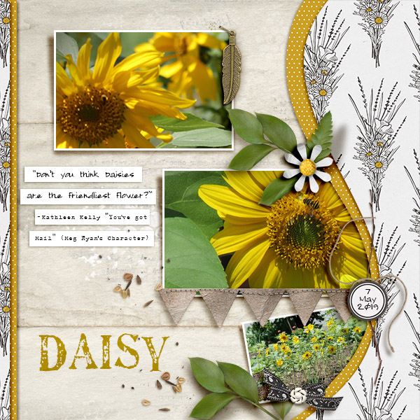 Daisy