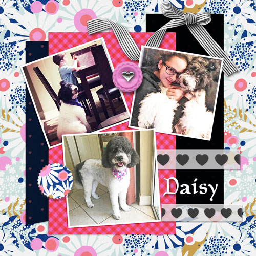 Daisy