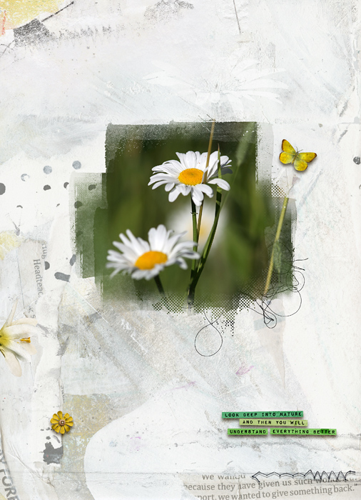 Daisy