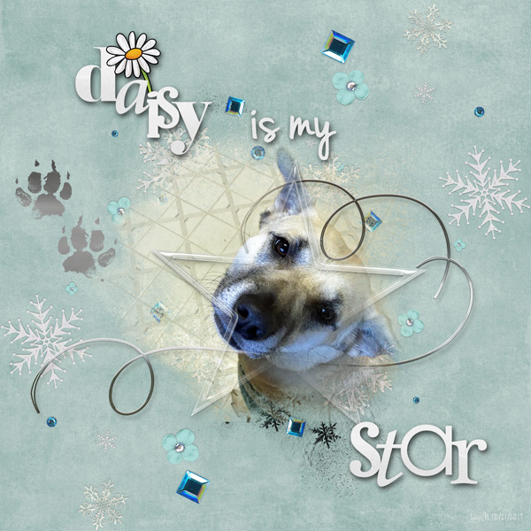Daisy