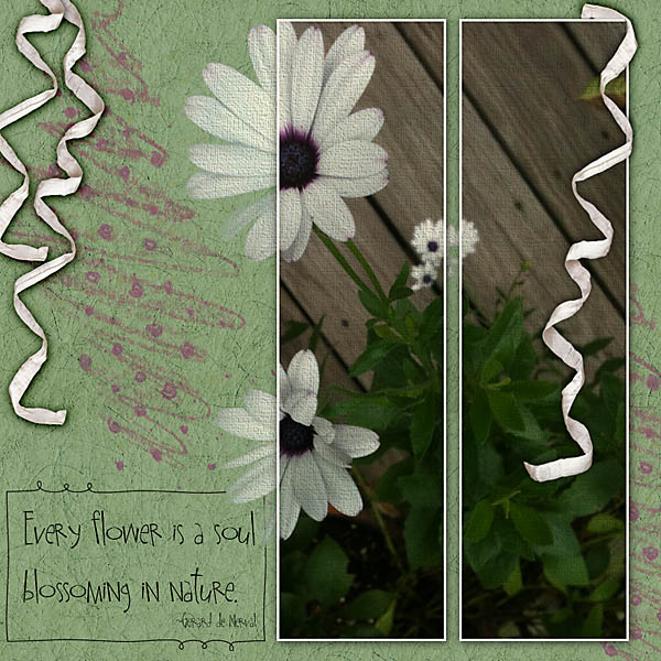 Daisy