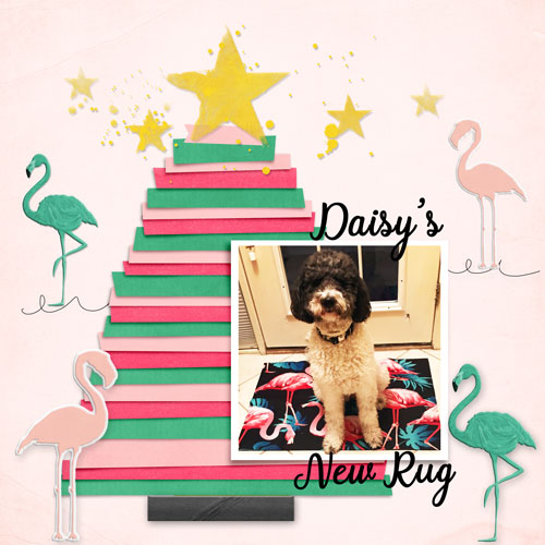 Daisy's New Rug