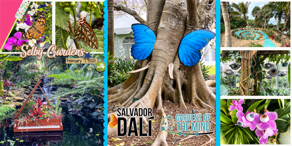Dali at Selby Gardens