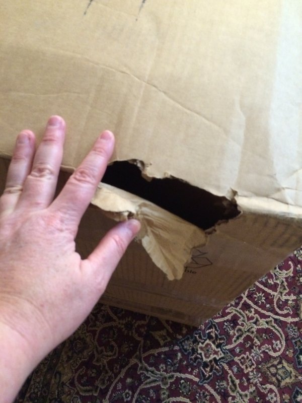 damage