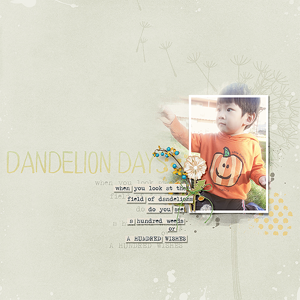 Dandelion Days