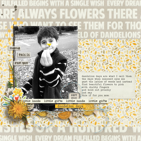 Dandeliondays The Lilypad
