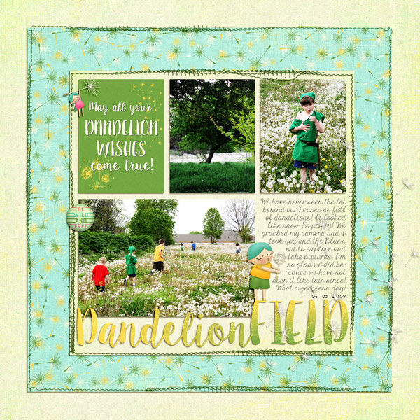 Dandelion Field