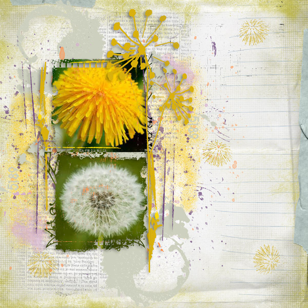 Dandelion Summer