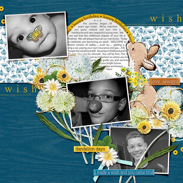 Dandelion Wish