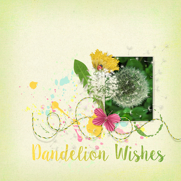 Dandelion Wishes