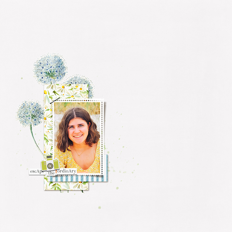 Dandelion