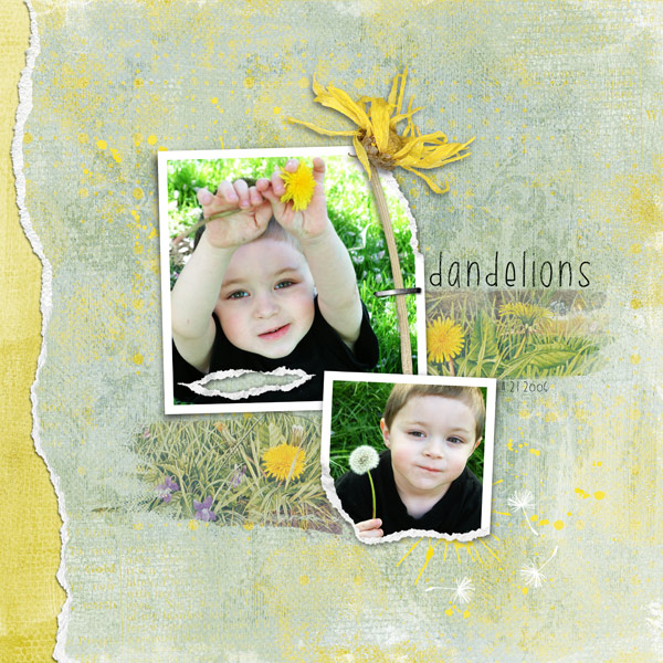dandelions