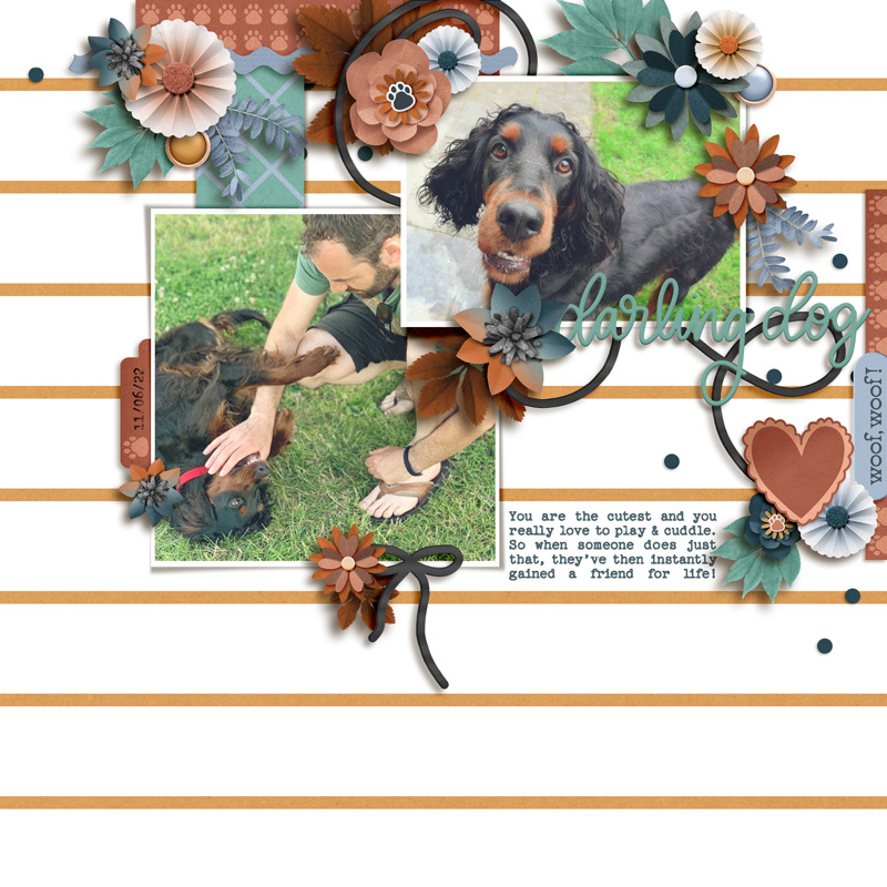 Darling Dog