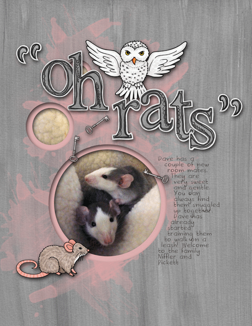Dave-mice-web