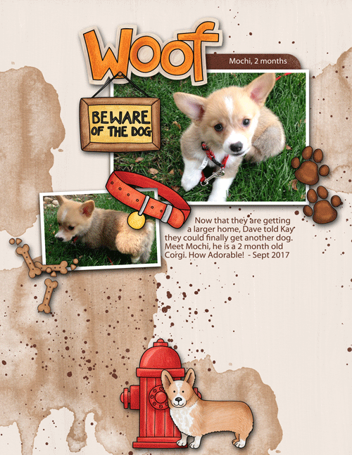 Dave-mochi-puppy