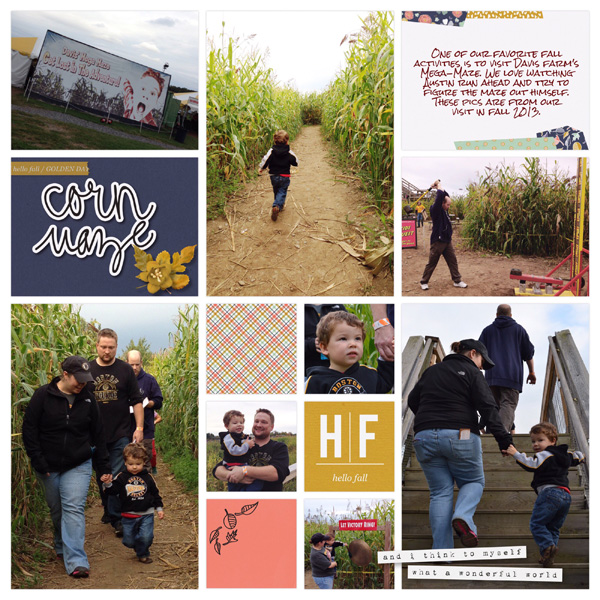 Davis Farm Corn Maze