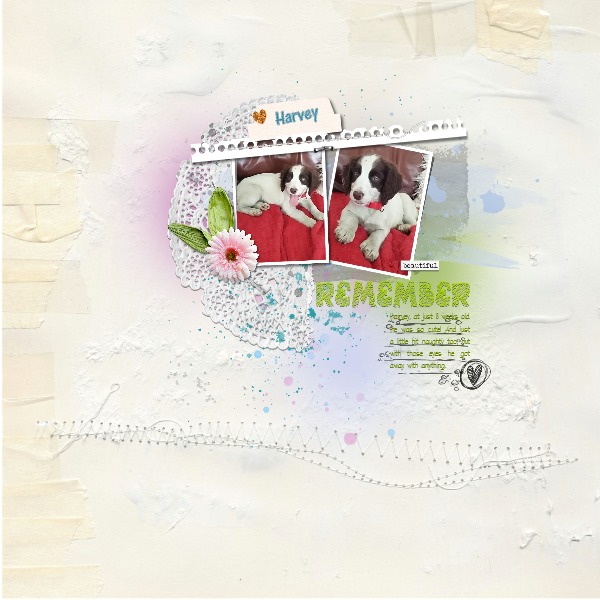 Dawn Inskip Aug-sept Challenge