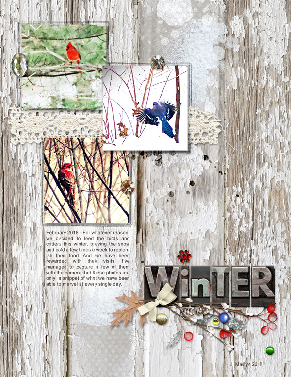 Dawn-Inskip_2018-02_February_web