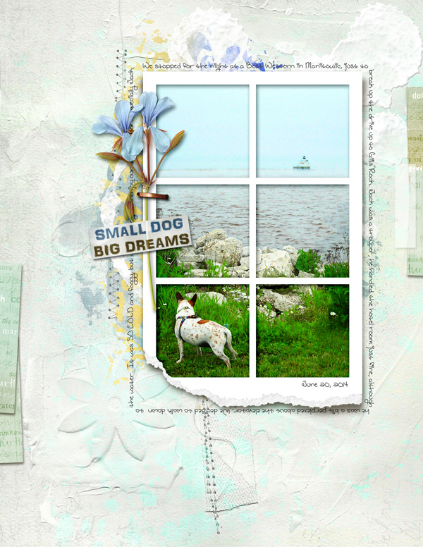 Dawn-Inskip_2018-05_May_web