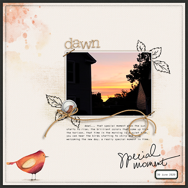 dawn
