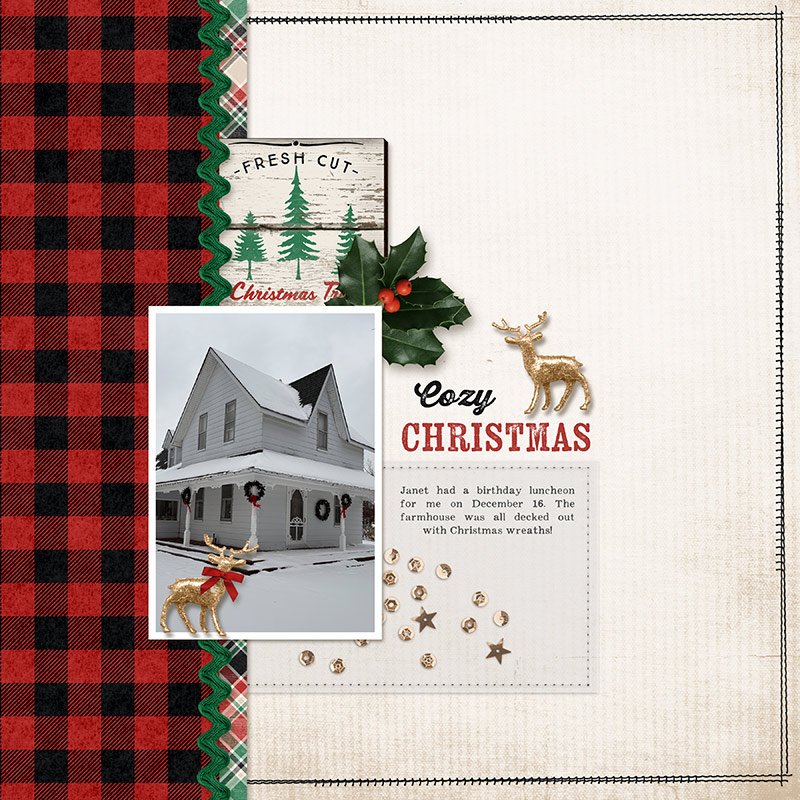 Day 11: Cozy Christmas