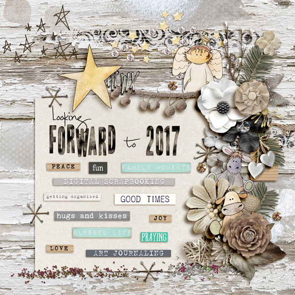 Day 12 - 12 Days Of Christmas ~ Looking Forward to 2017