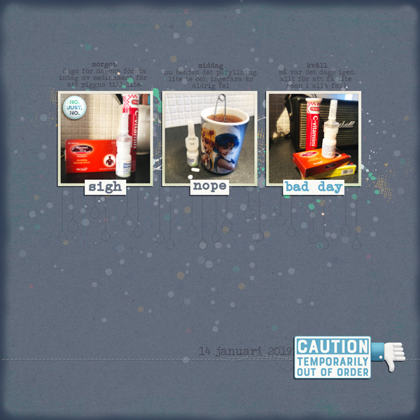 Day 13- Photography challenge Morning/Noon/Night MOC7