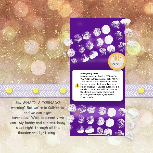 Day-14-Journal For Therapy