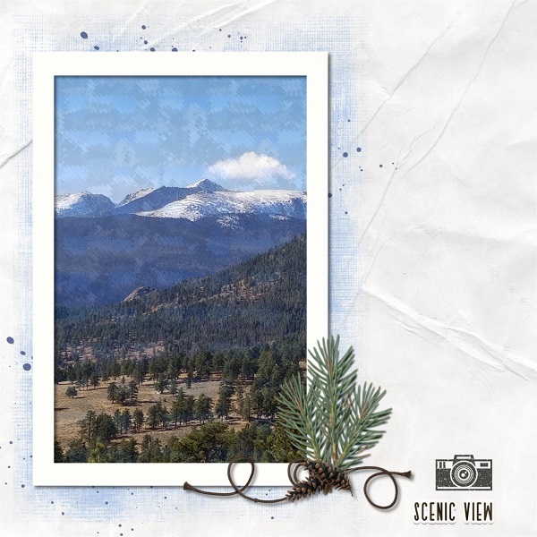 Day 14 MOC 10 Scenic View